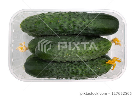 fresh cucumbers in container isolated on white fresh cucumbers in container isolated on white 117652565