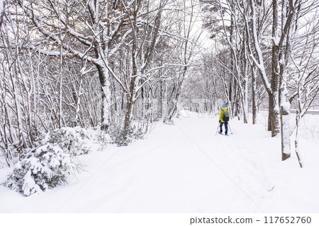 雪鞋徒步 Hiruzen Kogen 的形象 雪鞋徒步 Hiruzen Kogen 的形象 117652760