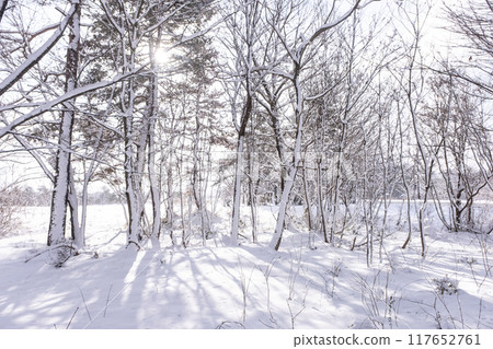 雪鞋徒步 Hiruzen Kogen 的形象 雪鞋徒步 Hiruzen Kogen 的形象 117652761