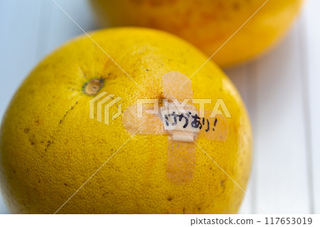 Photo of pomelo, yuzu, buntan Photo of pomelo, yuzu, buntan 117653019
