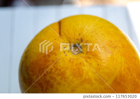 Photo of pomelo, yuzu, buntan 117653020