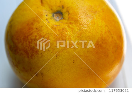 Photo of pomelo, yuzu, buntan 117653021