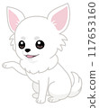 Smiling sitting chihuahua paw pose (diagonal/right hand) 117653160