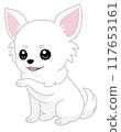 Smiling sitting chihuahua paw pose (diagonal/left hand) 117653161