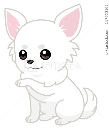Cute sitting chihuahua paw pose (diagonal/left hand) 117653162