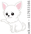 Cute sitting chihuahua paw pose (diagonal/right hand) 117653166