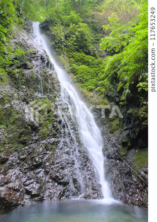 和服瀑布 和服瀑布 117653249