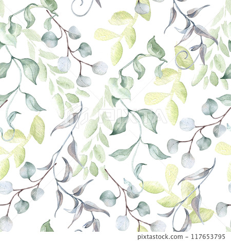 Twigs eucalyptus, leaves in sage green watercolor seamless pattern isolated. Foliage background with repeating plants in pastel tones hand drawn for design textile. Delicate greenery texture. 117653795