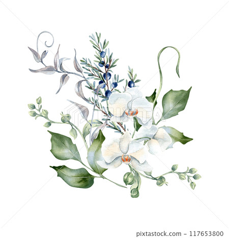 White orchids, juniper and leaves in delicate floral bouquet in pastel watercolor isolated. Curly twigs and delicate foliage hand drawn. Bunch with flowers and blue berries for greenery nature design. 117653800