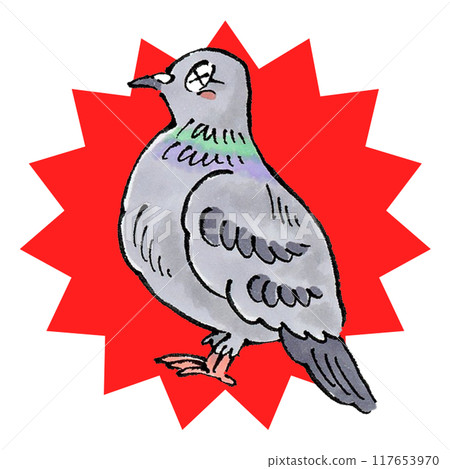 滅絕的鴿子 117653970