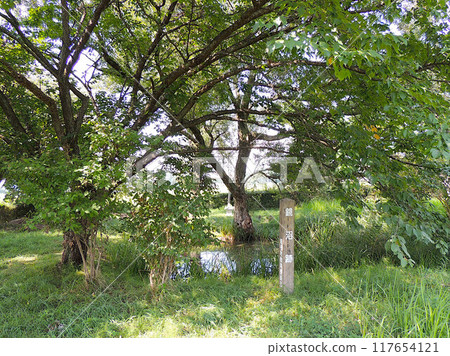 鏡沼遺址（影沼） 117654121