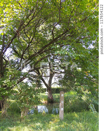 鏡沼遺址（影沼） 117654122