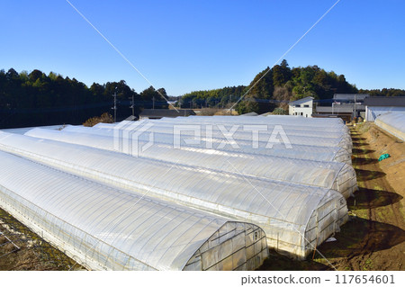 鹿島臨海鐵道大洗鹿島線，從太陽站到日沼站的車窗景觀（2022 年冬季） 117654601