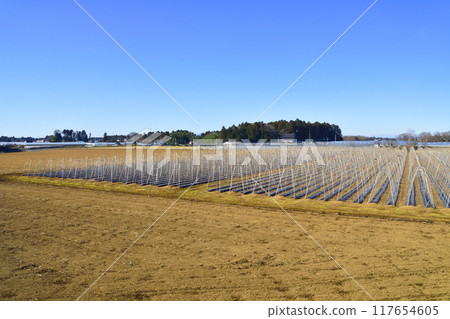 鹿島臨海鐵道大洗鹿島線，從太陽站到日沼站的車窗景觀（2022 年冬季） 117654605