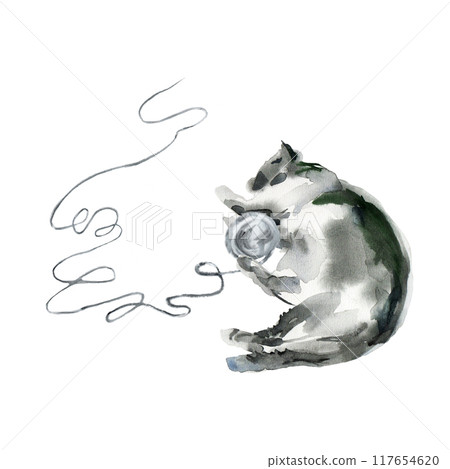 Cat holds a wool ball in its paws. Fluffy cat lies after playing with a wool yarn. Watercolor sketch shows a cheerful, happy and fluffy cat sleeping after its game in monochrome color.The skein of Cat holds a wool ball in its paws. Fluffy cat lies after playing with a wool yarn. Watercolor sketch shows a cheerful, happy and fluffy cat sleeping after its game in monochrome color.The skein of 117654620