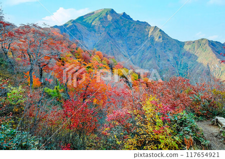 Mt. Tanigawa seen from the ridgeline covered in autumn leaves Mt. Tanigawa seen from the ridgeline covered in autumn leaves 117654921