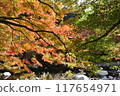 山谷兩岸色彩鮮豔的秋葉 117654971