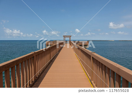 道之驛 越後出雲崎 天領之裡 穿越湯凪橋 117655028