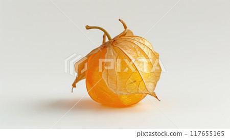 Cape gooseberry isolated. Generative AI Cape gooseberry isolated. Generative AI 117655165