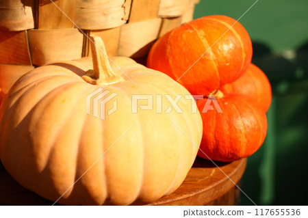 ripe pumpkin harvest on the table ripe pumpkin harvest on the table 117655536