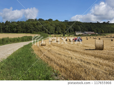 Harvest Time - North Yorkshire - England Harvest Time - North Yorkshire - England 117655908