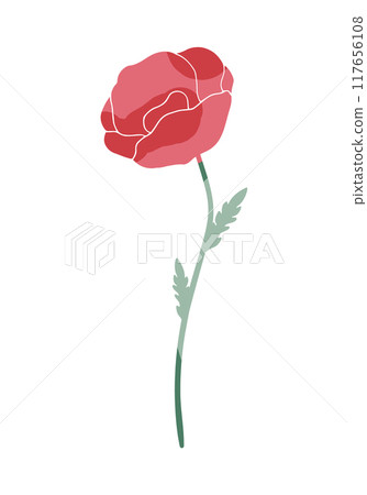 Poppy flower silhouette painted in different colors. Vector illustration Poppy flower silhouette painted in different colors. Vector illustration 117656108