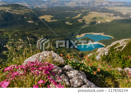 Pink Wildflowers on Cliff Overlooking Mountains and Lake Pink Wildflowers on Cliff Overlooking Mountains and Lake 117656234