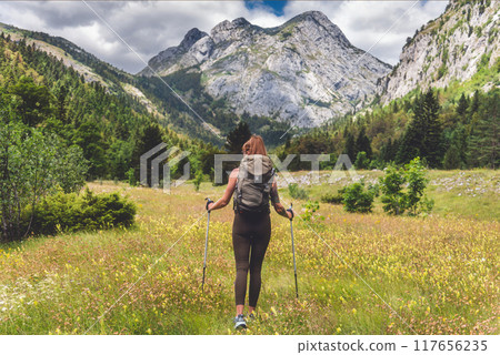 Woman Hiking in Blooming Alpine Mountain Valley Woman Hiking in Blooming Alpine Mountain Valley 117656235