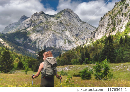Female Walking in Flowering Alpine Mountain Valley 117656241