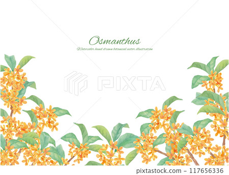 Frame material of sweet osmanthus painted with watercolors 117656336