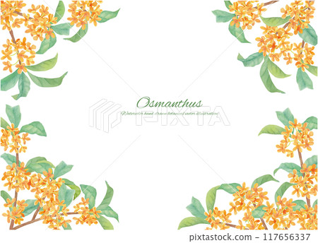 Frame material of sweet osmanthus painted with watercolors 117656337
