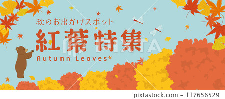 Autumn leaves special feature Advertising materials Autumn leaves special feature Advertising materials 117656529