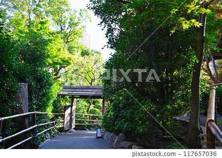 椿山莊的景色 117657036