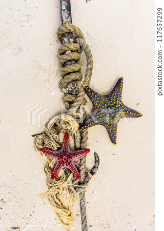 red and black starfish with knot and anchor on a shore 117657299