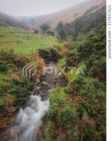 Stream coming down steep gulley into Meldon Reservoir, Dartmoor, UK Stream coming down steep gulley into Meldon Reservoir, Dartmoor, UK 117657822