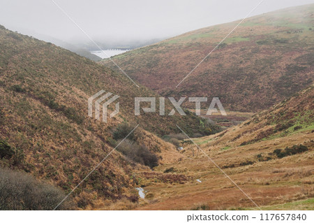 Stream in steep gulley with Meldon Reservoir and Dam in distance, Dartmoor, UK 117657840