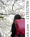 A girl carrying a red school bag under the cherry blossoms at the entrance ceremony 117657896