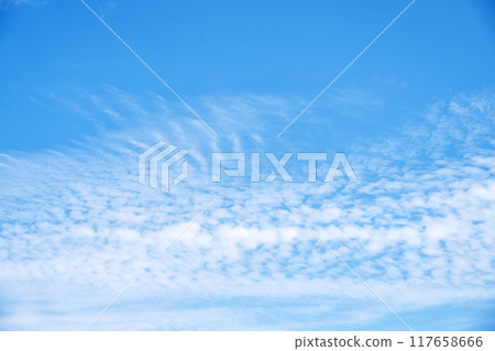 Blue sky, summer sky, summer image 117658666