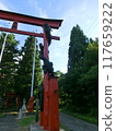 A dragon climbing up a torii gate 117659222
