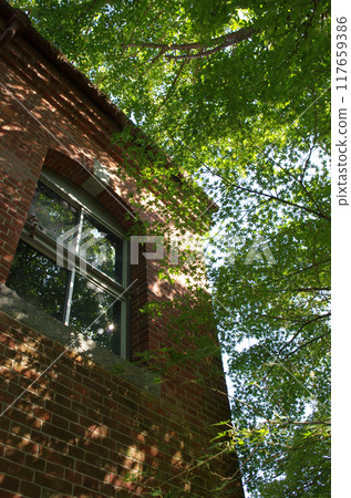 位於老路上的一棟優雅的磚造建築。一座發電廠現在已經完成了它的任務。夏日里,它靜靜地融入鄉村。 位於老路上的一棟優雅的磚造建築。一座發電廠現在已經完成了它的任務。夏日里,它靜靜地融入鄉村。 117659386