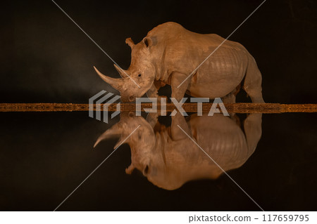 Male white rhino passes waterhole at night 117659795