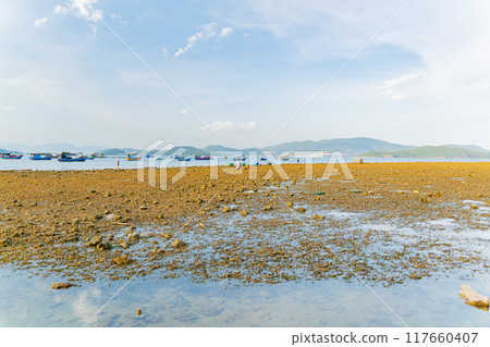 The sea ebb at sunset. The sea ebb at sunset. 117660407