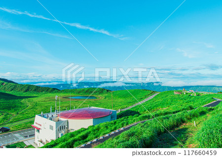 熊本阿蘇清晨的草千里濱 熊本阿蘇清晨的草千里濱 117660459