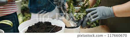 Granddaughters Helping Grandma To Plant Flowers Granddaughters Helping Grandma To Plant Flowers 117660670