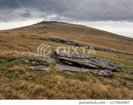 Looking up to Higher Tor, Dartmoor UK 117660967