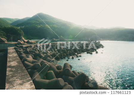 美麗的海濱風景和陽光 美麗的海濱風景和陽光 117661123