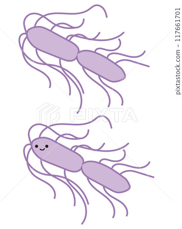 蠟狀芽孢桿菌 117661701