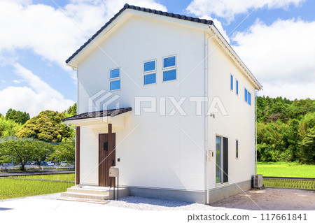 Newly built house exterior: White house Newly built house exterior: White house 117661841