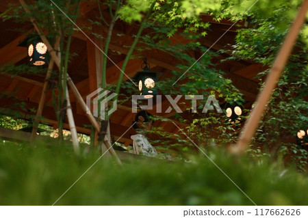 人們在神社祈禱 人們在神社祈禱 117662626