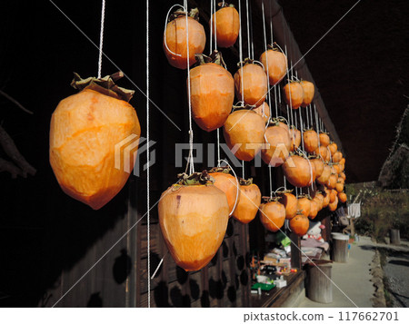 Dried persimmons hanging in a private home Dried persimmons hanging in a private home 117662701